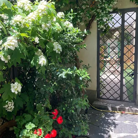 Di Malpasso * Pistoia